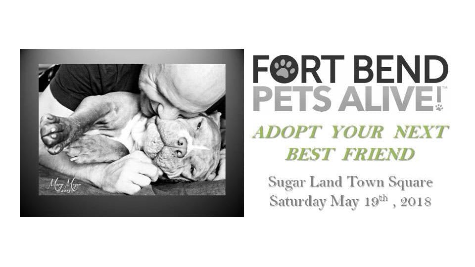 Fort-Bend-Pets-Alive-Shelter-Pet-Expo Fort-Bend-Pets-Alive-Shelter-Pet-Expo